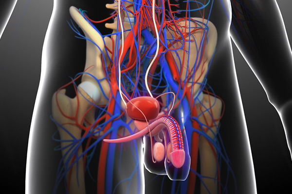 Hypogonadism